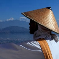2. avatar